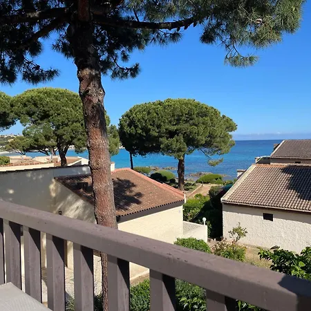 2 Pieces A 1 Minute A Pied De La Plage Lumio (Corsica)